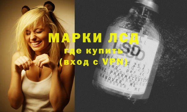 a pvp Кодинск