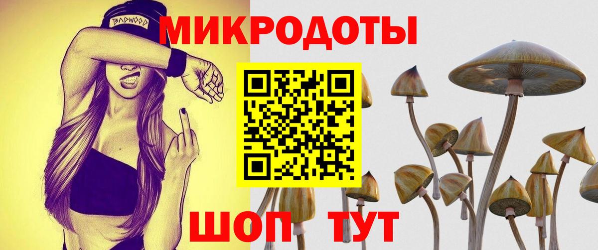 Галлюциногенные грибы прущие грибы Надым