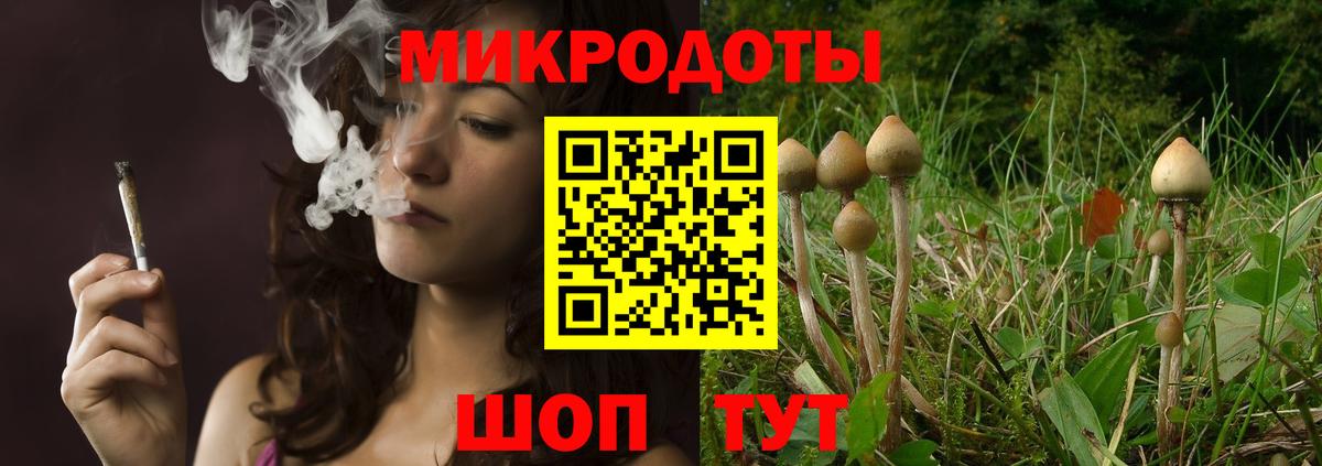 Надым  Галлюциногенные грибы прущие грибы  Вход с VPN 